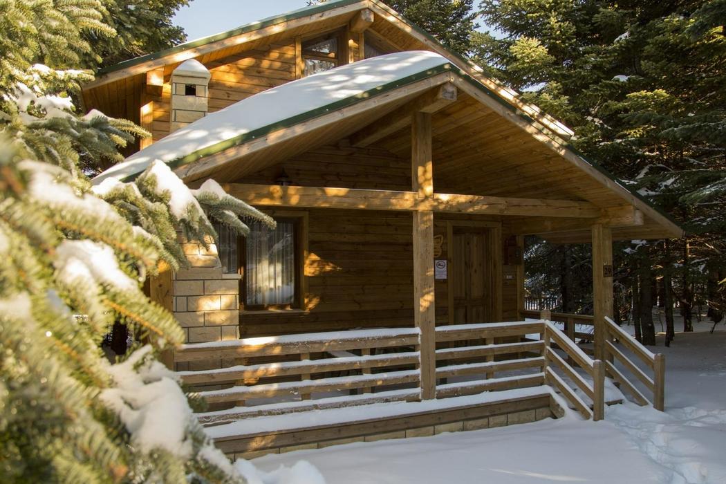 Sapanca Özel Tasarım Dağ Evi - Benzersiz Deneyim - Görsel 1