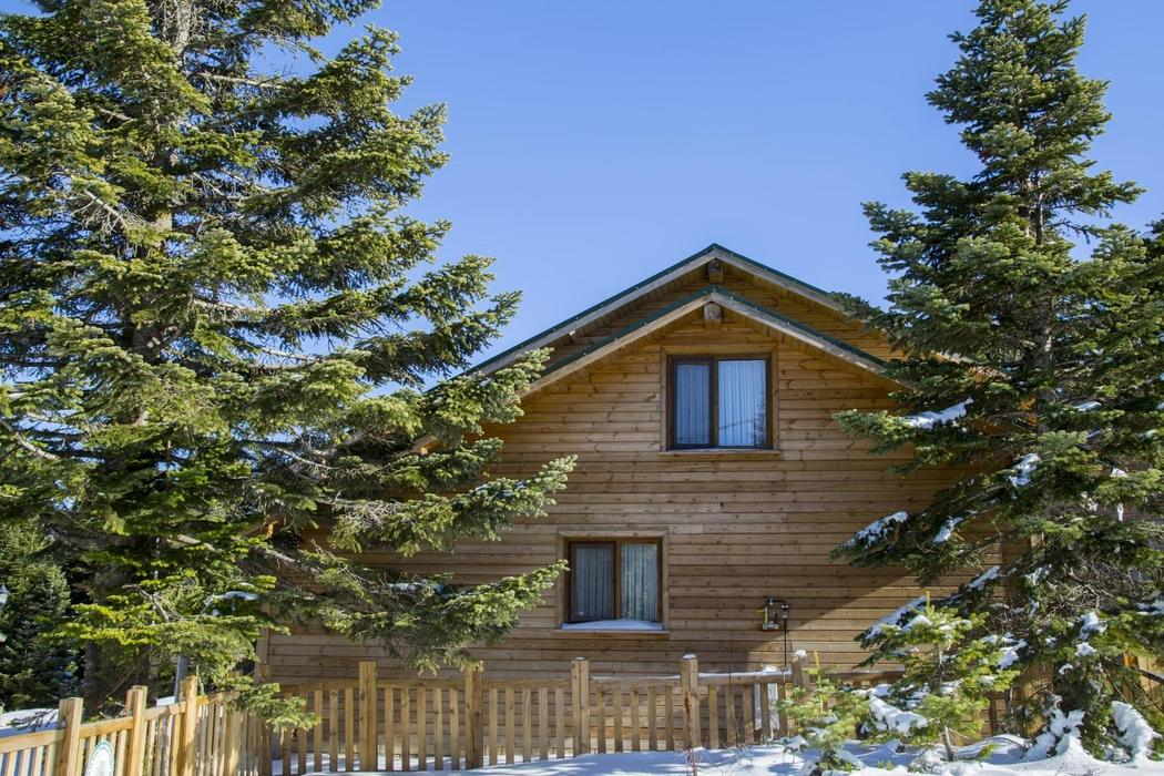 Sapanca Özel Tasarım Dağ Evi - Benzersiz Deneyim - Görsel 2