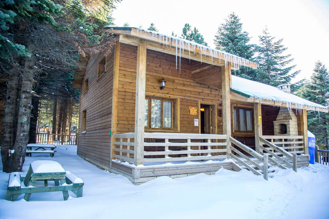 Sapanca Özel Tasarım Dağ Evi - Benzersiz Deneyim