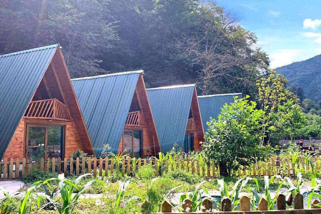 Sapanca Orman İçi Dağ Evi - Sessizlik ve Huzur - Görsel 4