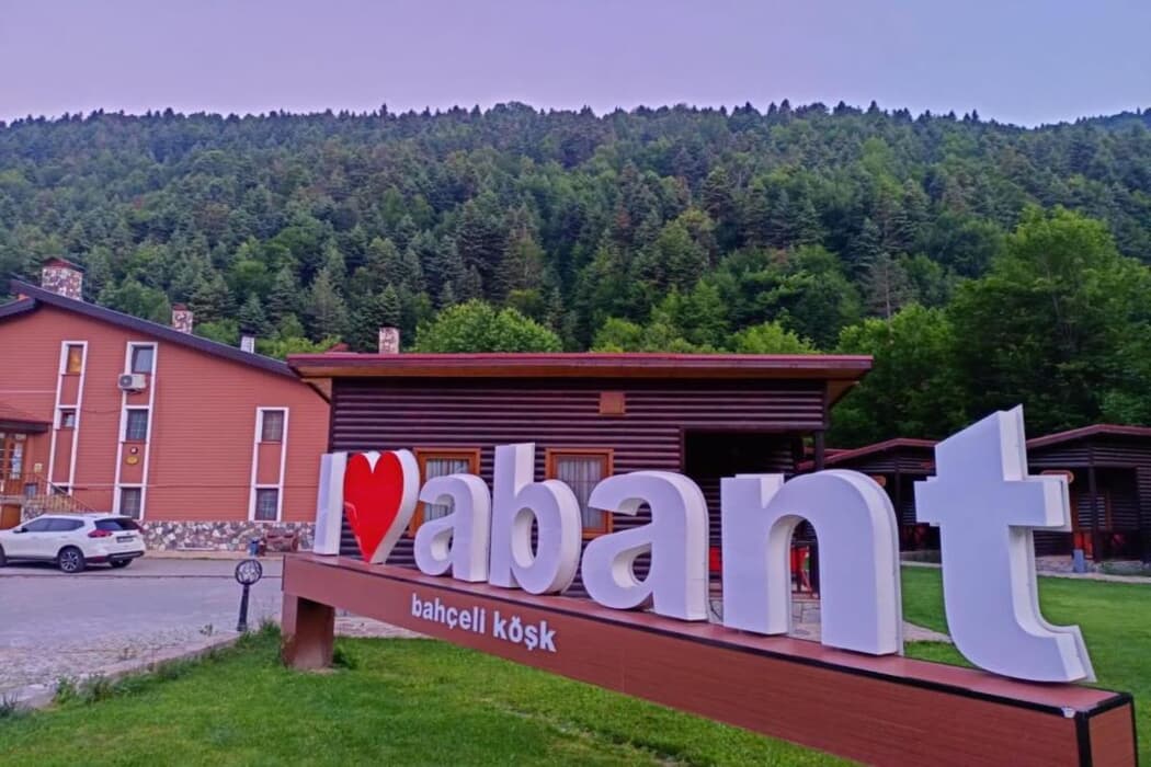 Sapanca Premium Dağ Evi - Lüks Konfor ve Doğa - Görsel 2