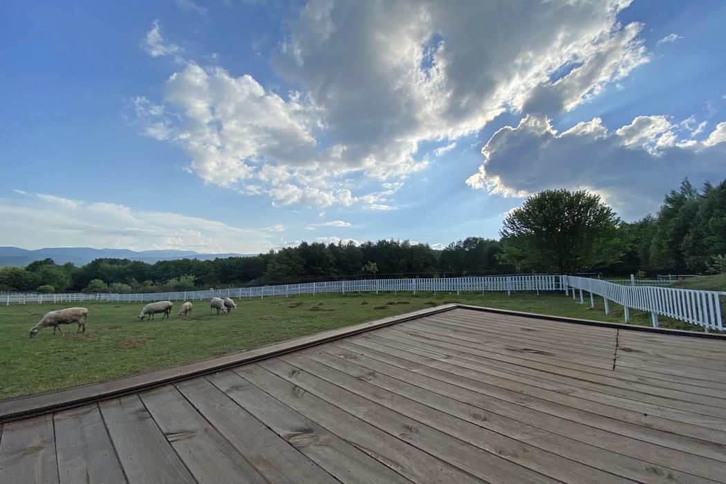 Sapanca Aile Dağ Evi - Geniş ve Konforlu - Görsel 1