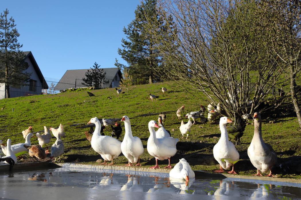 Sapanca Aile Dağ Evi - Geniş ve Konforlu - Görsel 2