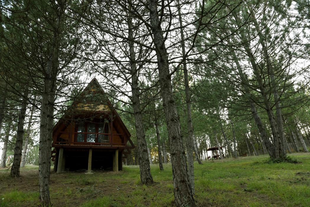 Sapanca Modern Dağ Evi - Şehir Dışında Huzur - Görsel 4