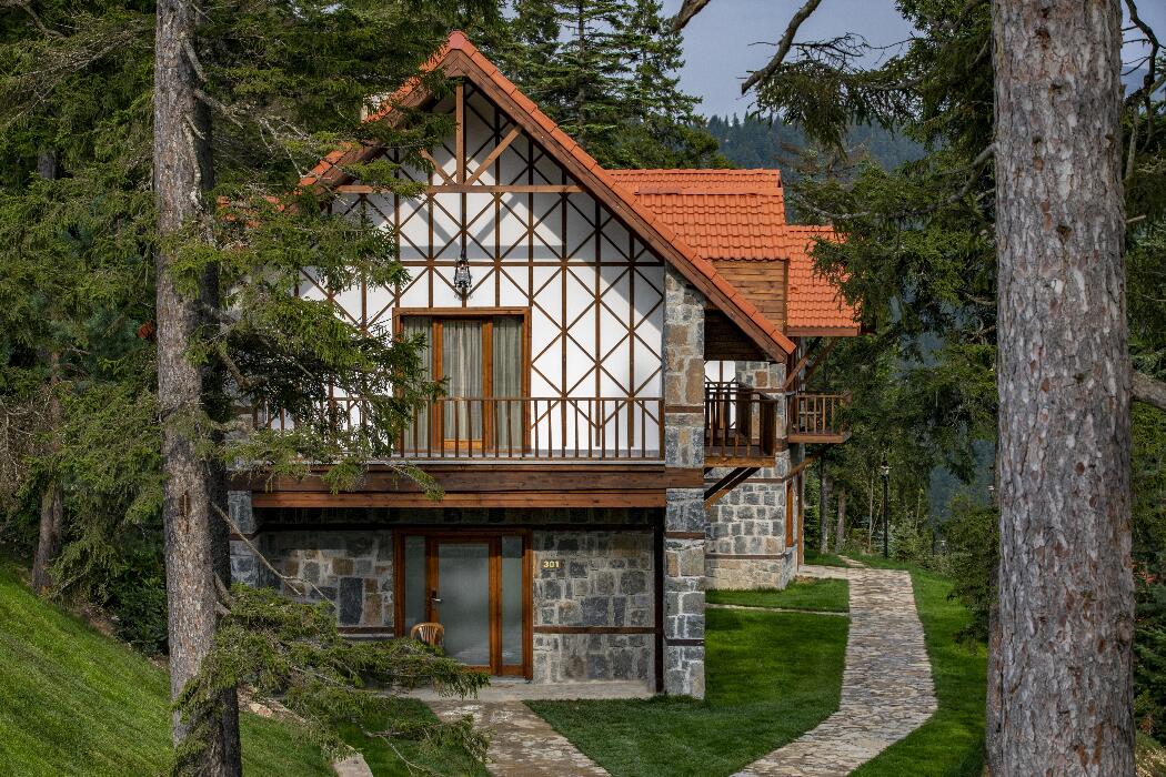 Sapanca Kar Manzaralı Dağ Evi - Kış Tatili - Görsel 1