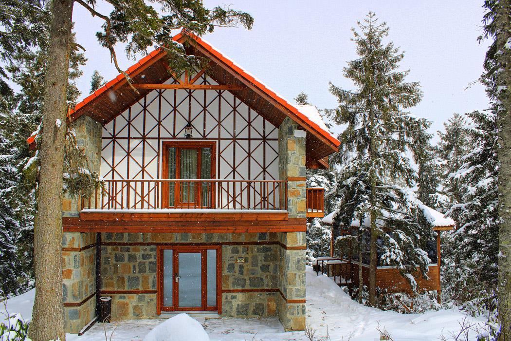 Sapanca Kar Manzaralı Dağ Evi - Kış Tatili - Görsel 2